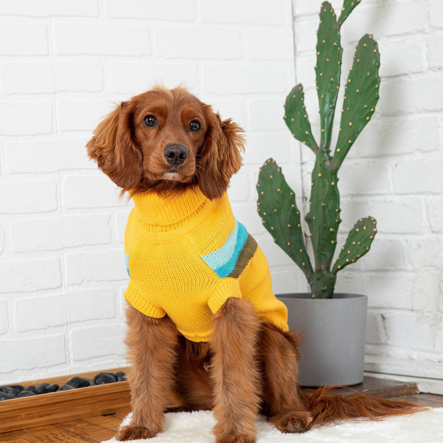 GF Pets Alpine Sweater - Yellow