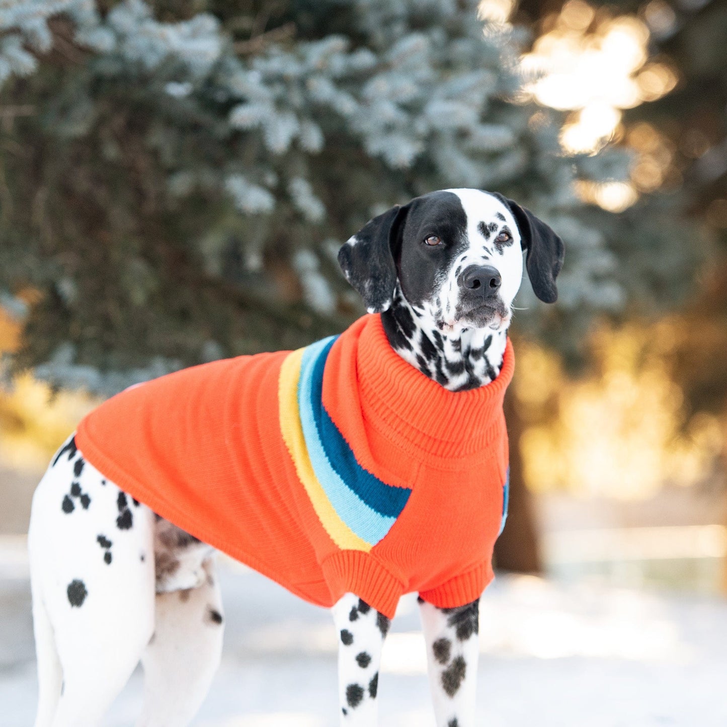 GF Pets Alpine Sweater - Orange