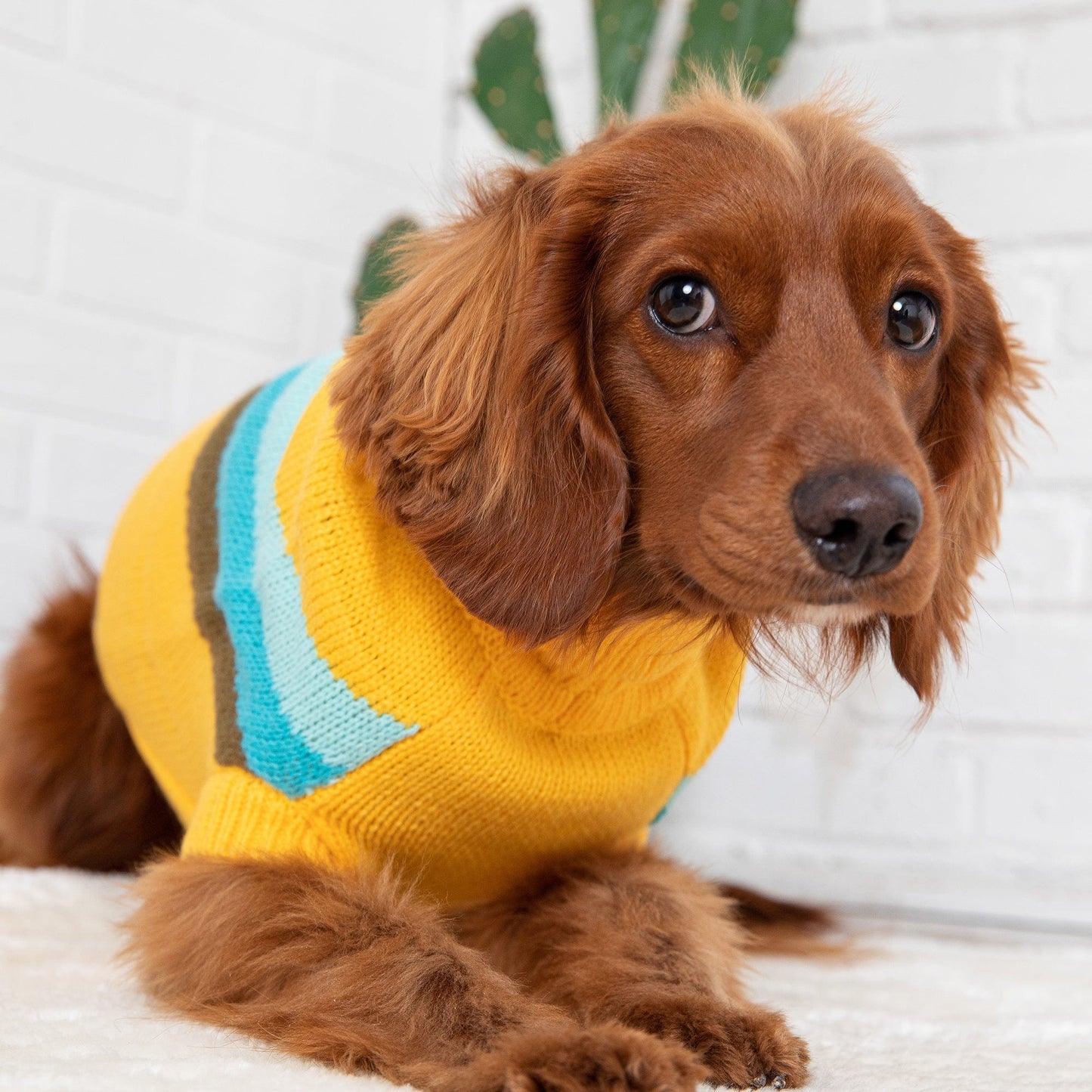 GF Pets Alpine Sweater - Yellow