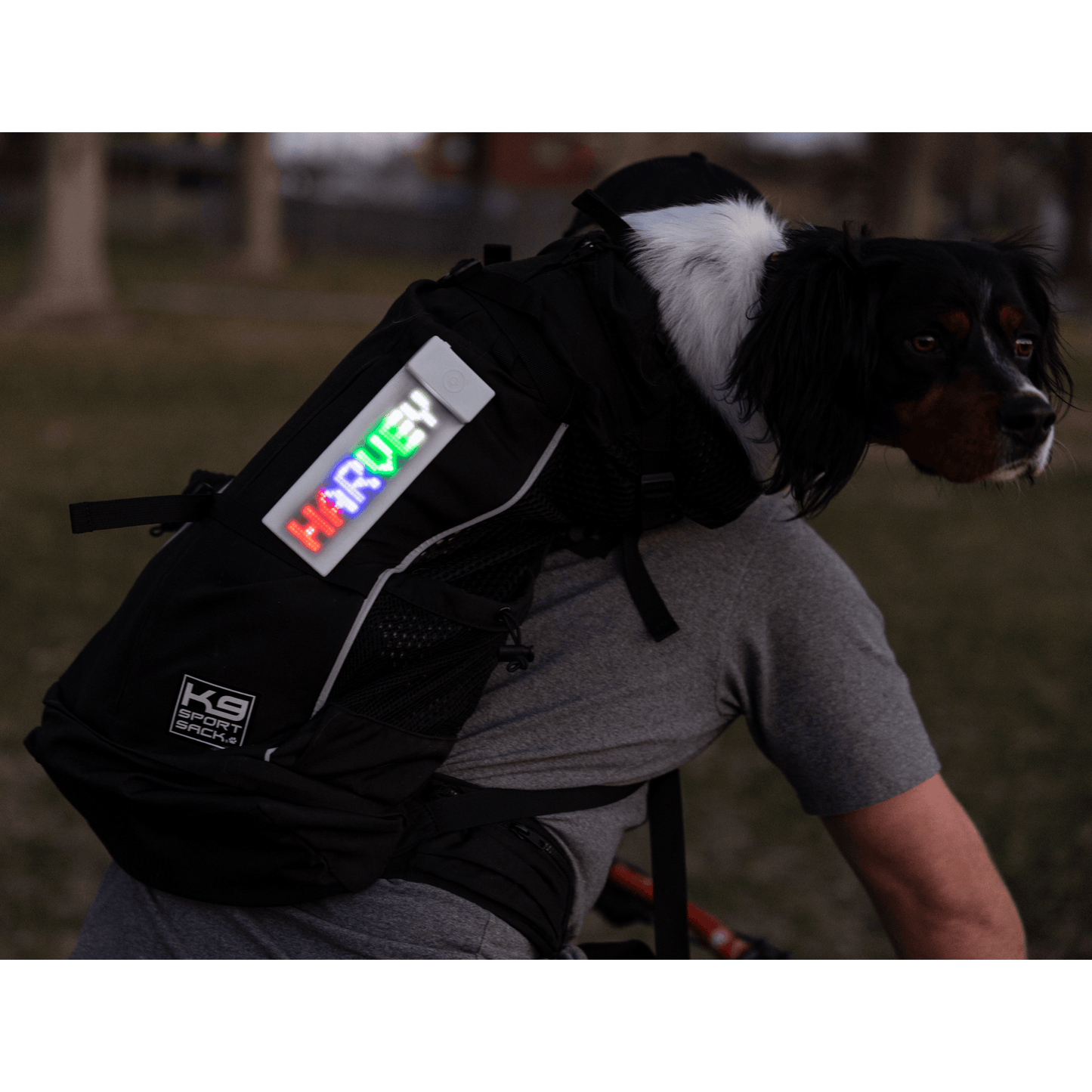 K9 Sport Sack Glo Banner XL Digital LED Patch