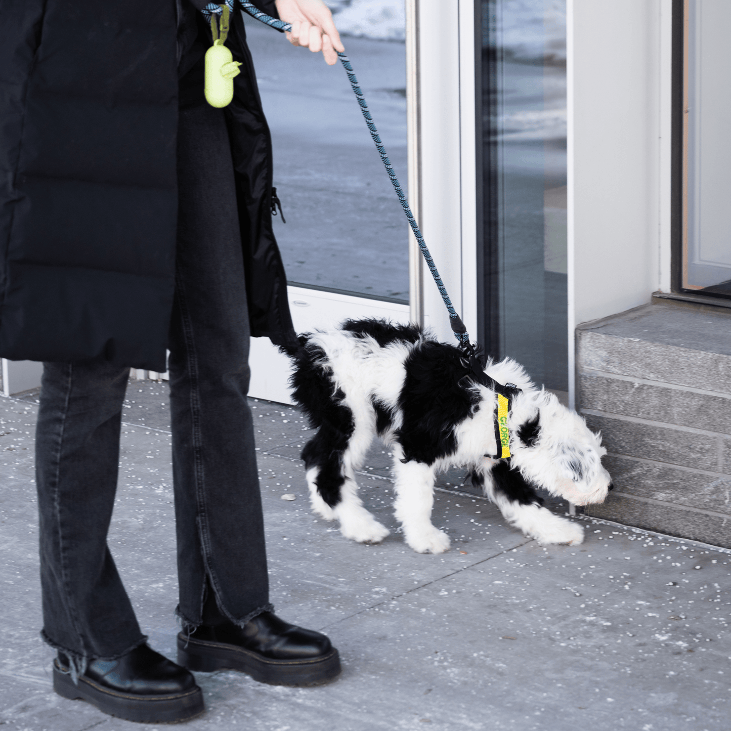 K9 Sport Harness with Optional Custom Embroidery Black