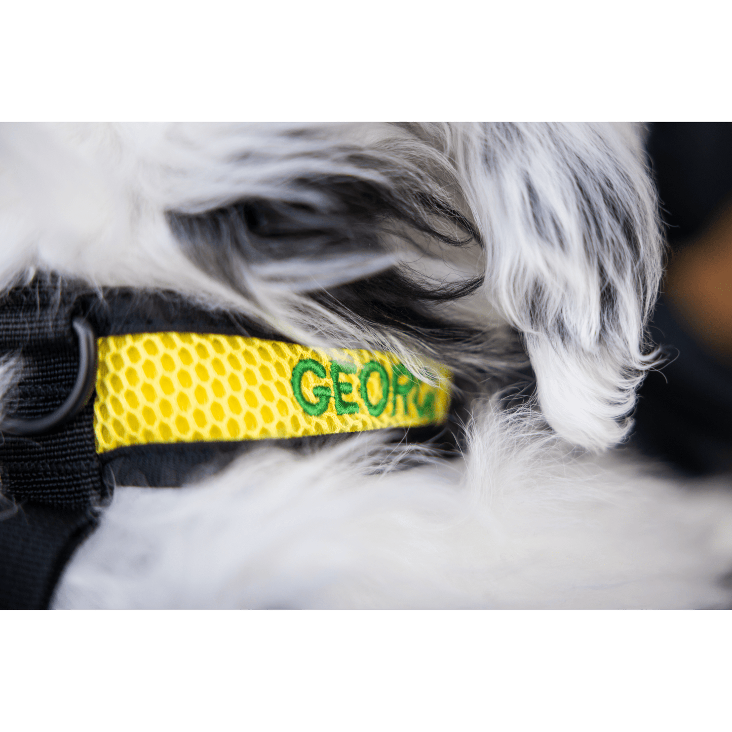 K9 Sport Harness with Optional Custom Embroidery Yellow