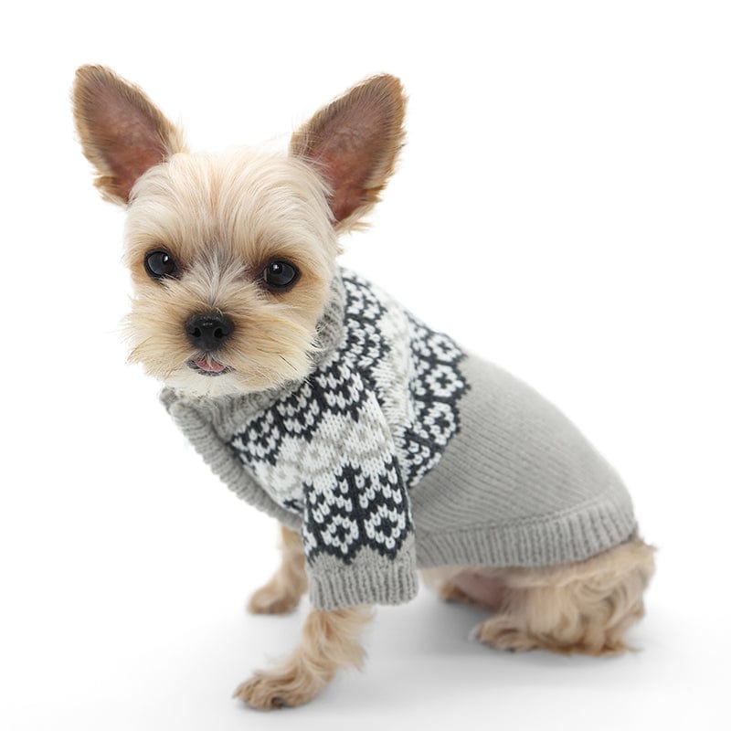 Cozy Icelandic Dog Sweater