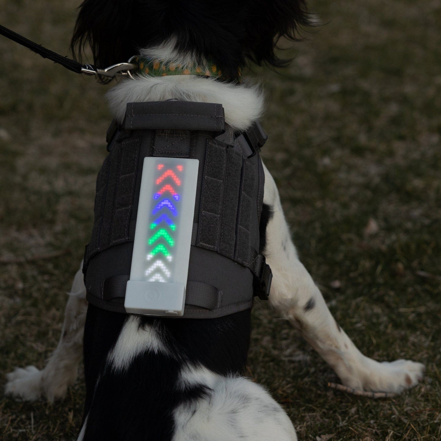 K9 Sport Sack Glo Banner XL Digital LED Patch