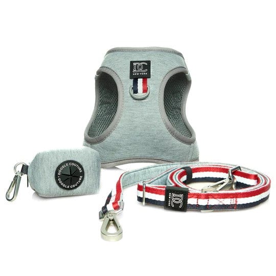 Champion Gray Luxury Walking Set