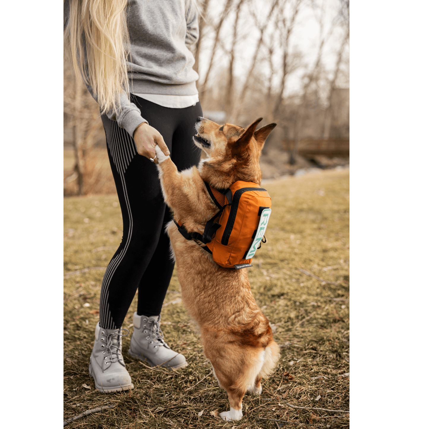 K9 Sport Sack Walk-On with Harness & Storage Orange