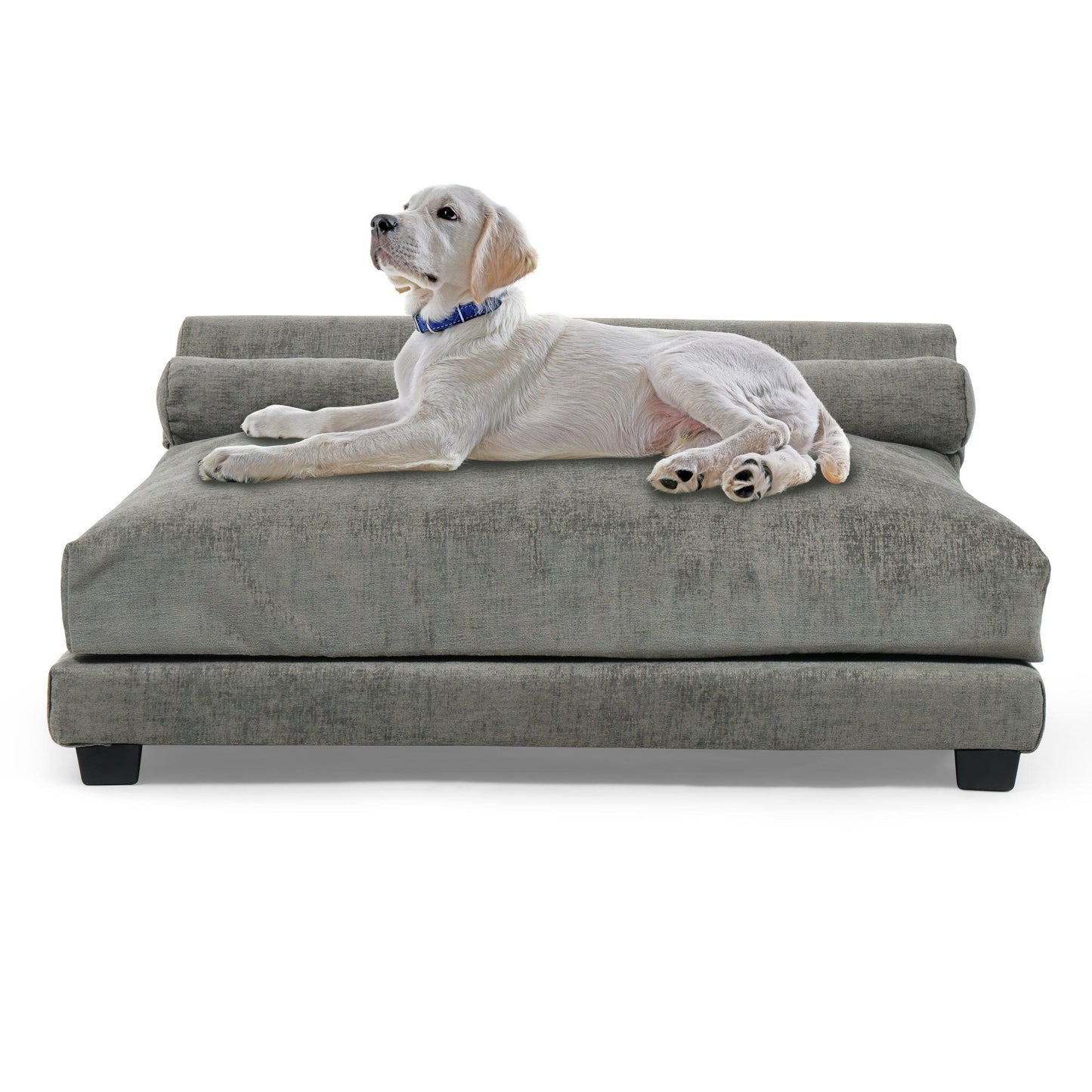 Roma Orthopedic Dog Bed  - Dove