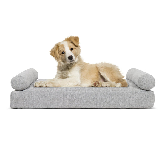 Tranquil Orthopedic Dog Bed