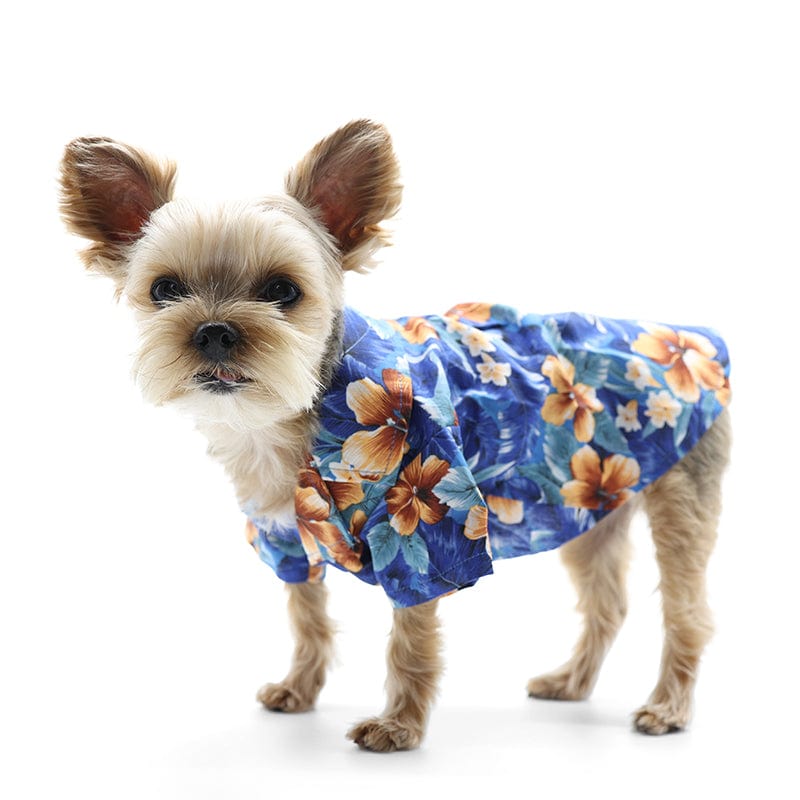 Tropical Floral Dog Shirt Blue