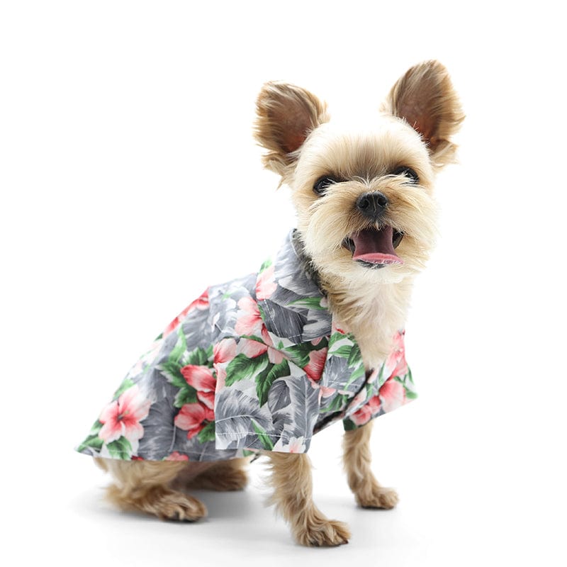 Tropical Floral Dog Shirt Gray