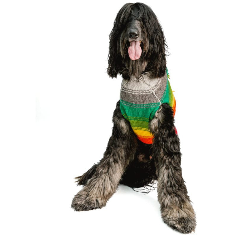 Rainbow Mohawk Wool Dog Sweater