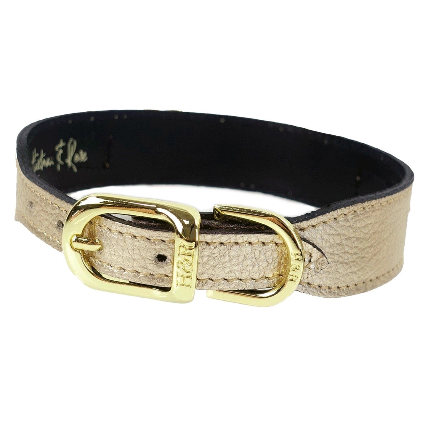 After Eight in Gold Metallic Dog Collar