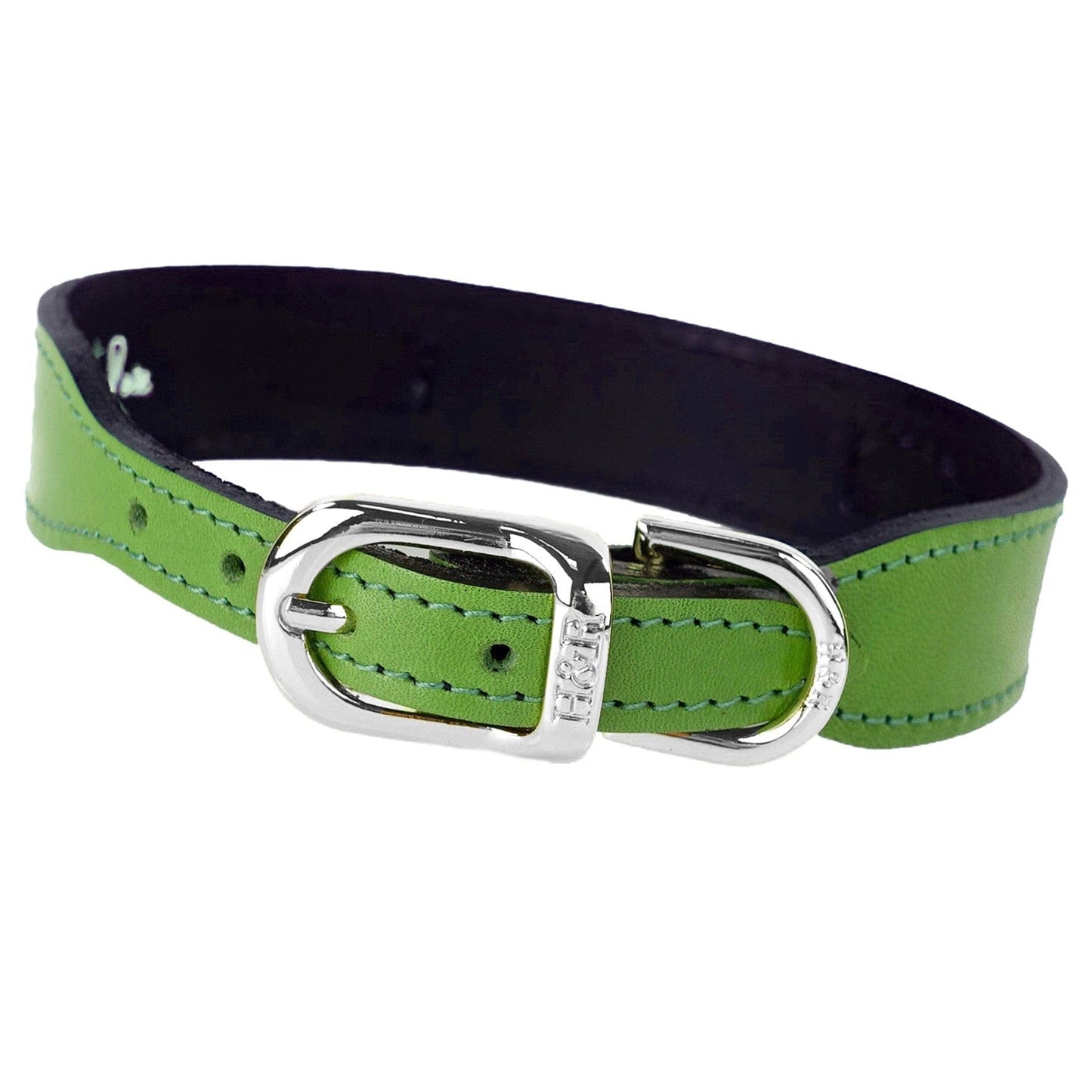 After Eight in Lime Green Dog Collar