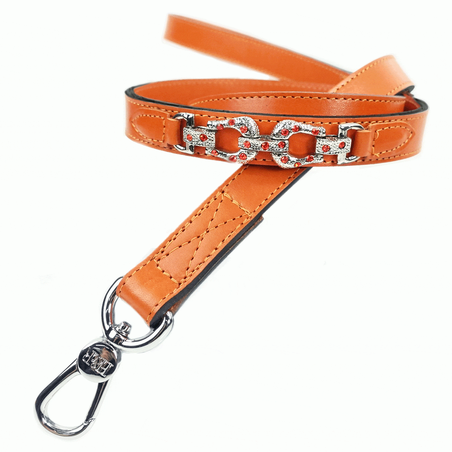 After Eight in Tangerine Dog Collar