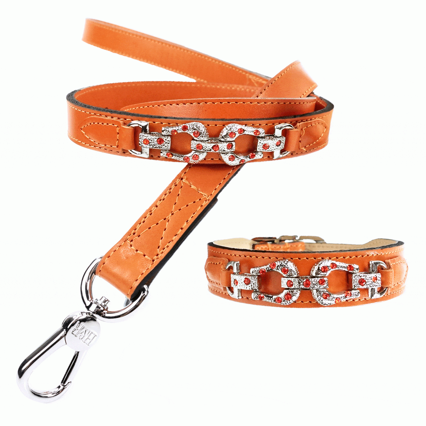 After Eight in Tangerine Dog Collar