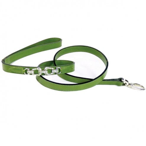 After Eight in Lime Green Dog Collar