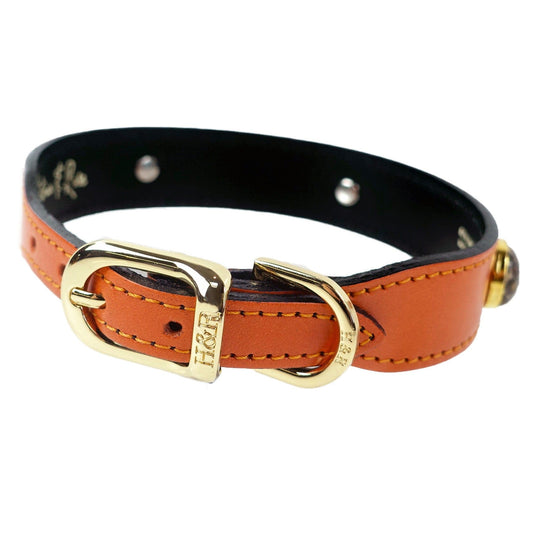 Au Naturale in Tangerine Dog Collar