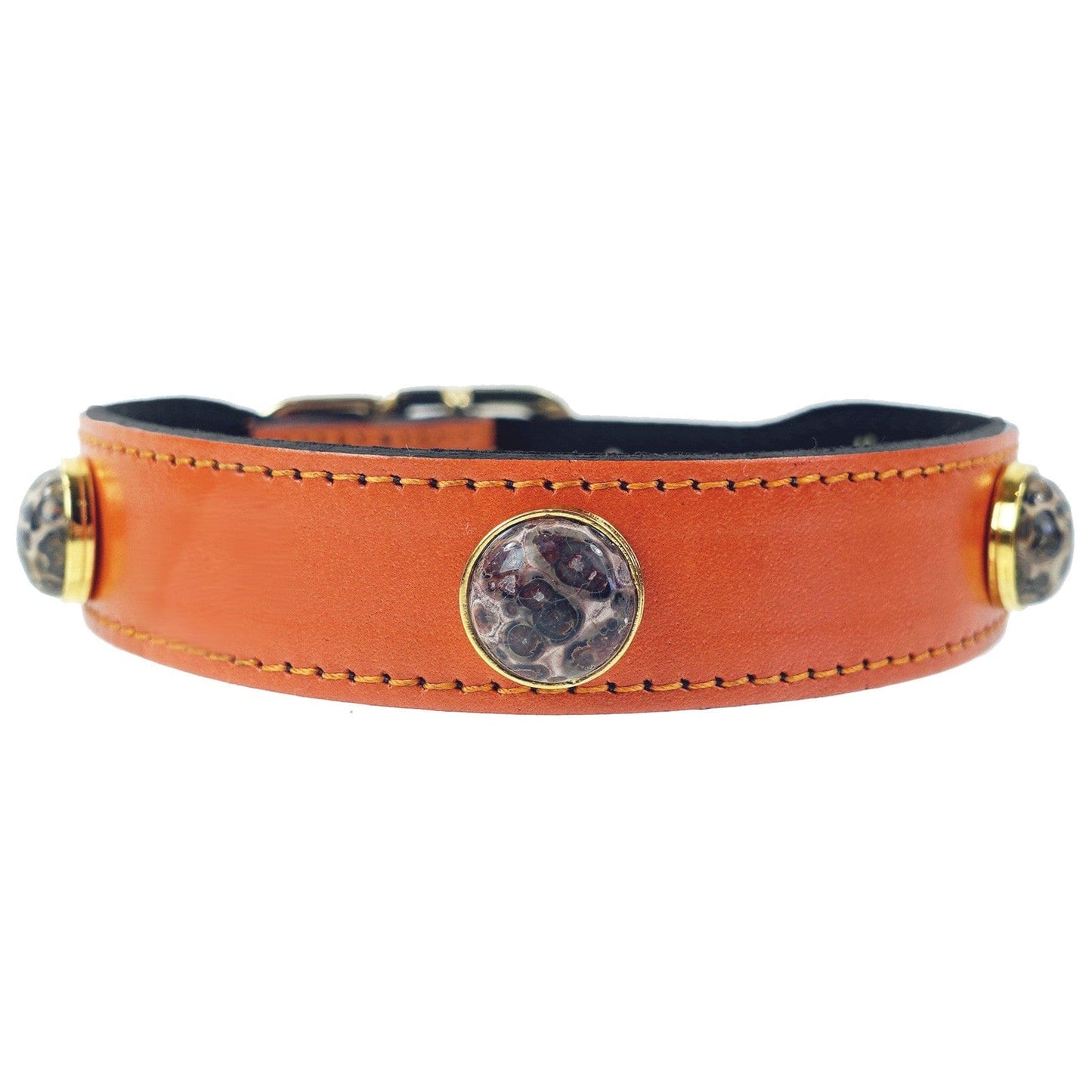 Au Naturale in Tangerine Dog Collar