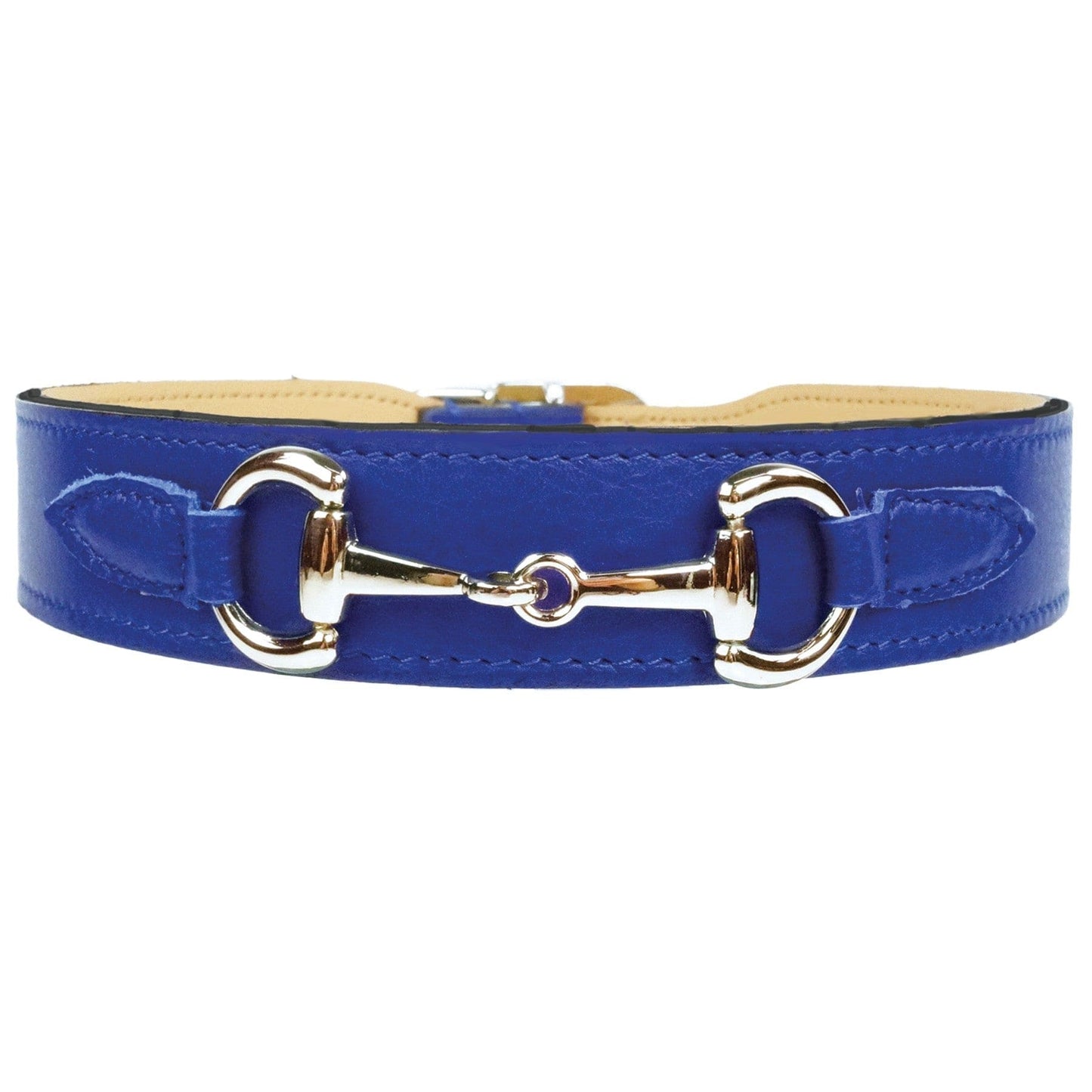 Belmont in Cobalt Blue & Nickel Dog Collar