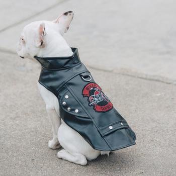 Biker Dawg Motorcycle Dog Jacket - Black