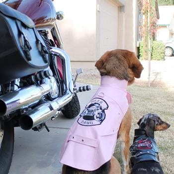 Biker Dawg Motorcycle Dog Jacket - Pink