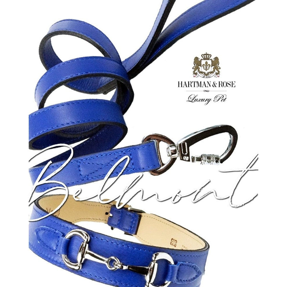 Belmont in Cobalt Blue & Nickel Dog Collar