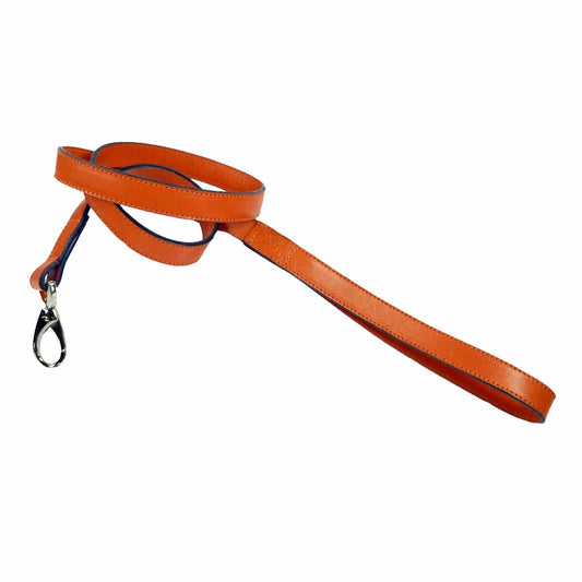 Belmont in Tangerine & Nickel Dog Collar