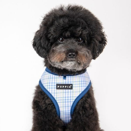 Luke Dog Harness A - Blue