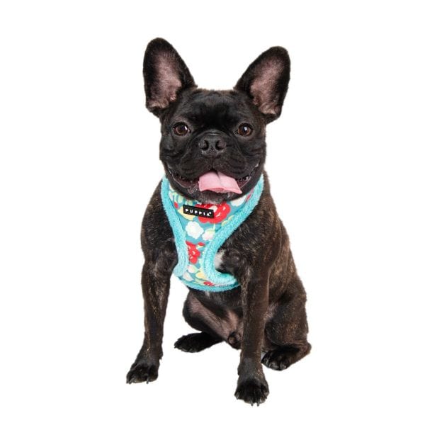 Alyssa Dog Harness A - Aqua