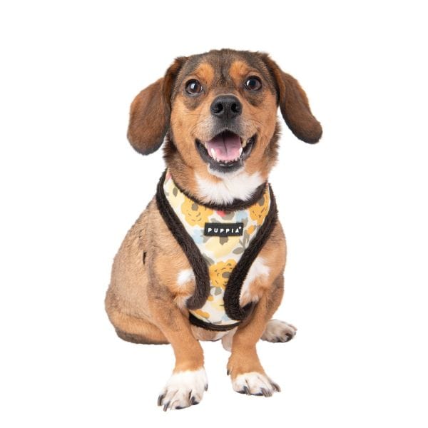 Alyssa Dog Harness A - Brown