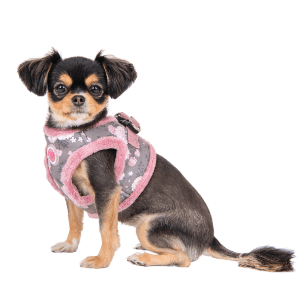 Calla Vest Dog Harness - Grey