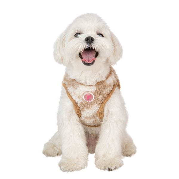 Chyanne Vest Dog Harness - Beige