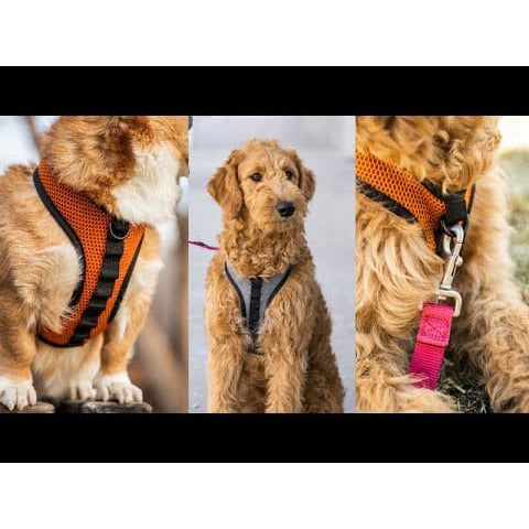 K9 Sport Harness with Optional Custom Embroidery Orange