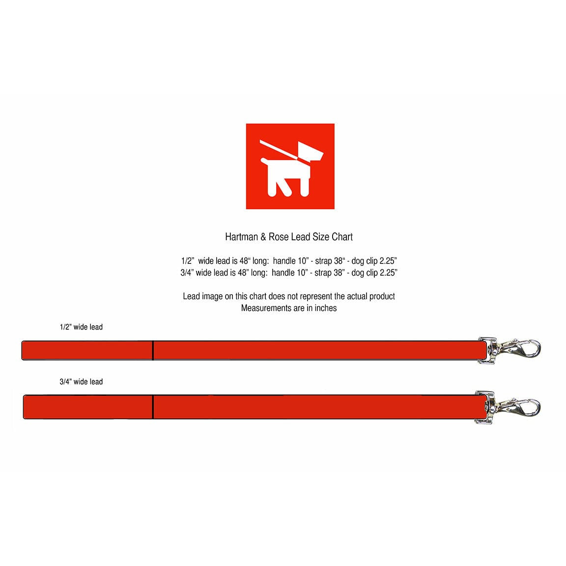 After Eight in Ferrari Red Dog Collar