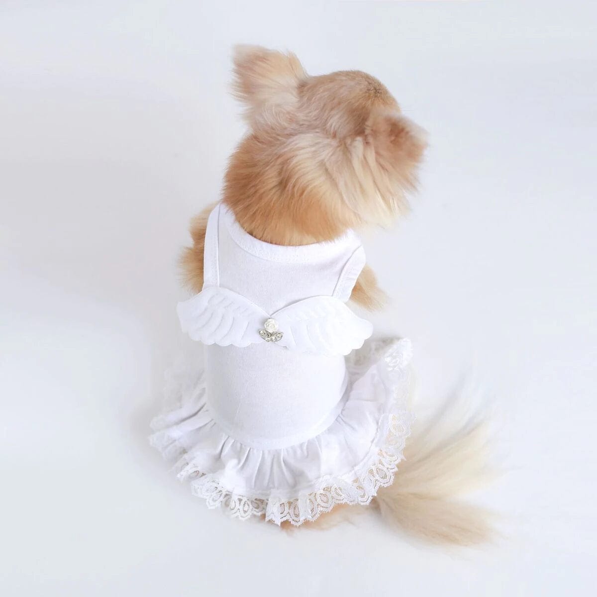 Lil' Angel Dog Dress