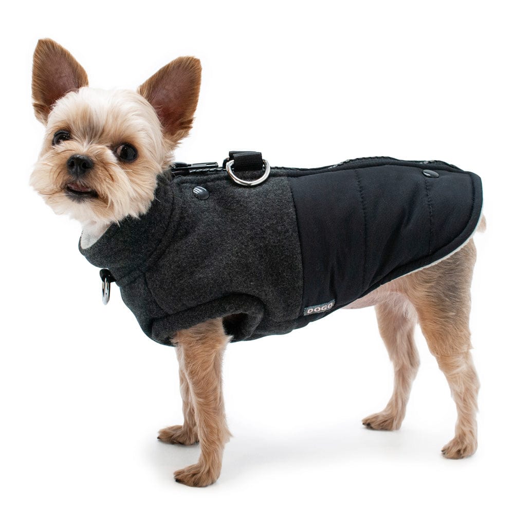 Midtown Runner Dog Coat - Black