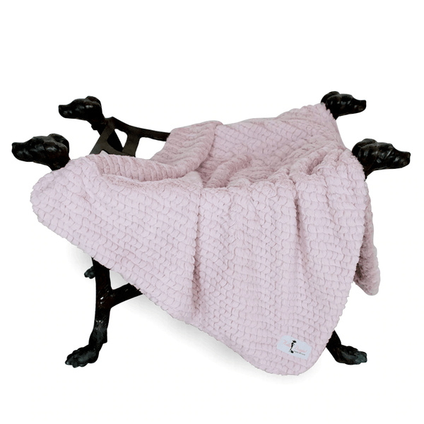 Paris Dog Blanket - Rosewater