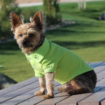 Solid Dog Polo - Green Flash