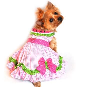 Watermelon Dog Harness Dress