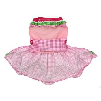 Watermelon Dog Harness Dress